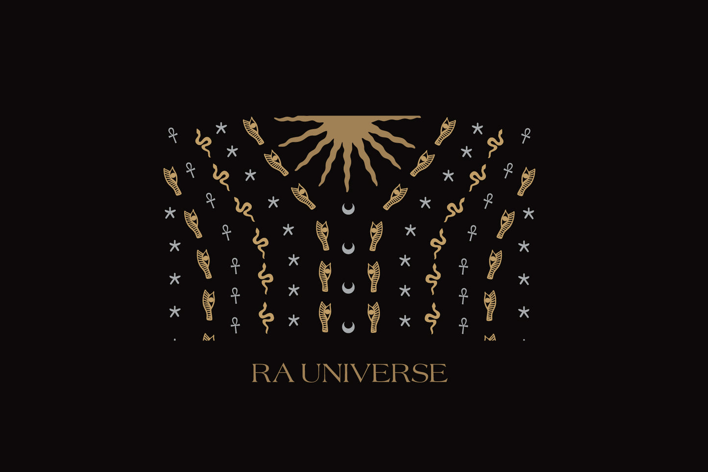 RA Universe | Velvet Embroidered Black Dress