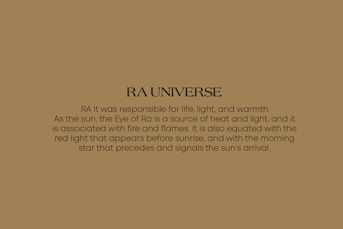 RA Universe | Velvet Embroidered Black Dress