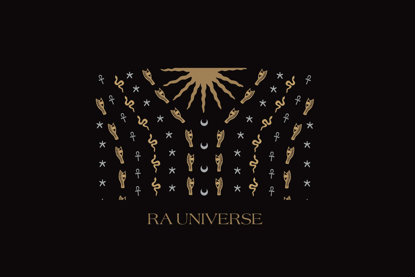 RA Universe | Velvet Embroidered Black Dress (Cairo Edit)